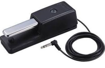 Roland Fußpedal und Systainpedal